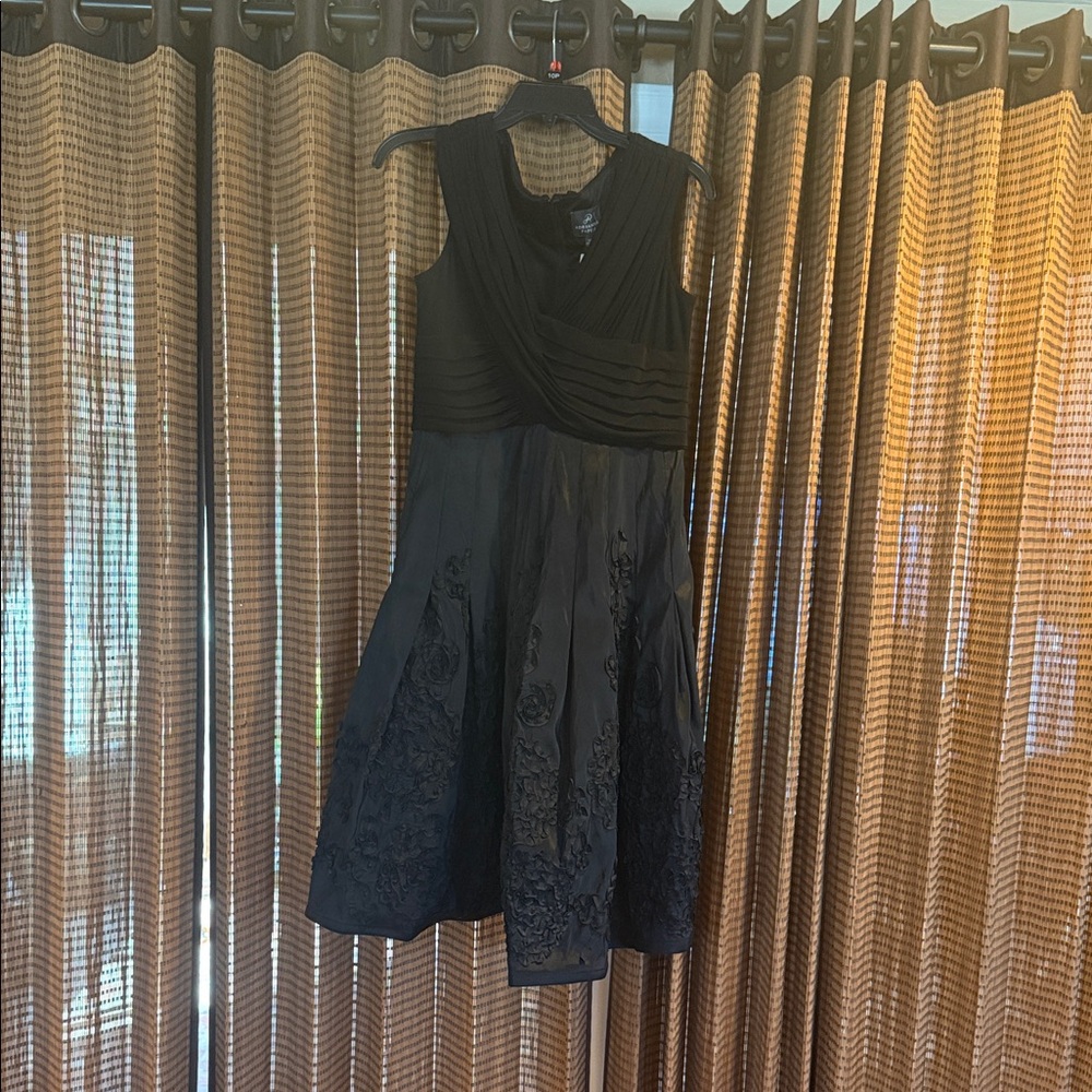 Elegant Black Sleeveless Dress by Adrianna Papell